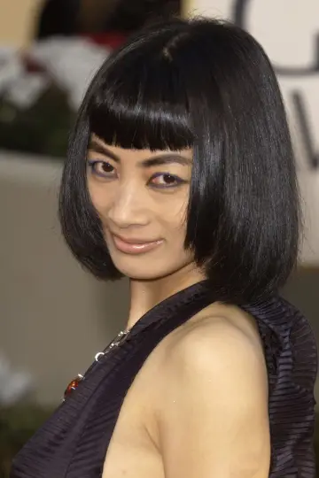 Zdjęcie Bai Ling #60401