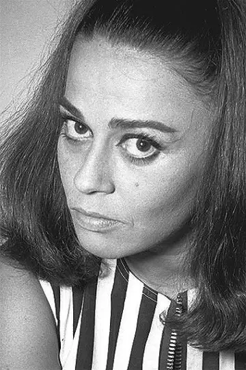 Zdjęcie  (Norma Bengell) #328556