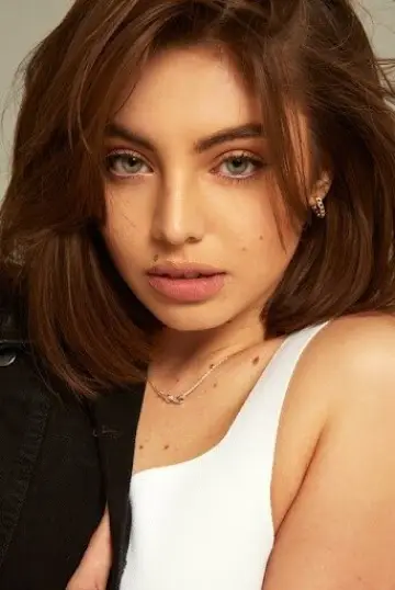 Zdjęcie  #375748