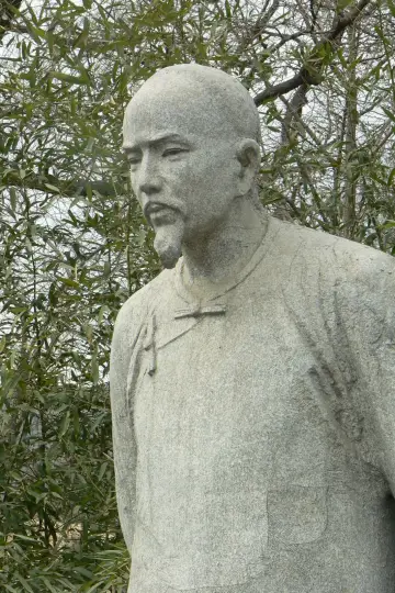Zdjęcie #303413