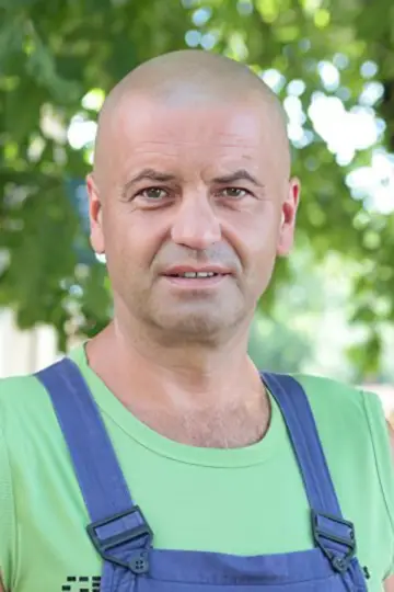 Zdjęcie #460502
