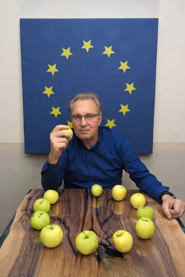 Zdjęcie #474586