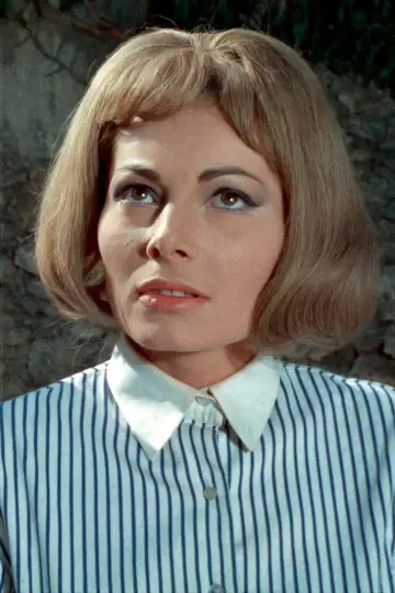 Zdjęcie  #319744