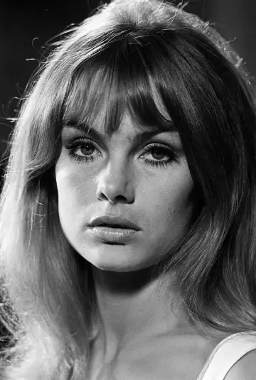 Zdjęcie  (Jean Shrimpton) #640088