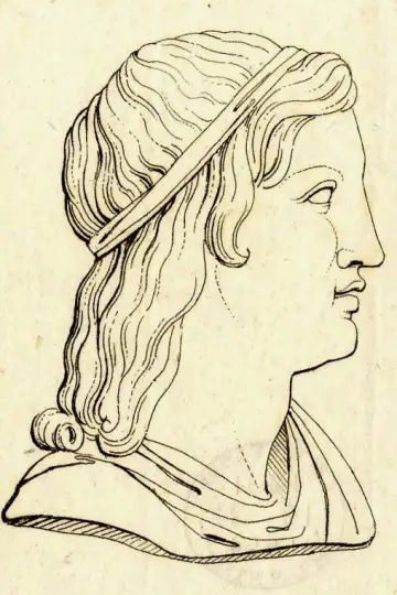 Zdjęcie  #483626