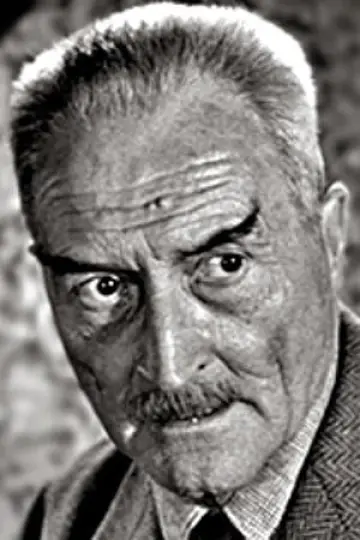 Zdjęcie  #299913