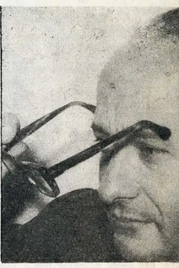 Zdjęcie  #291888