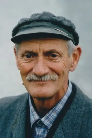 Zdjęcie  #343468