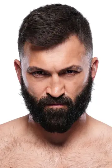 Zdjęcie Andrei Arlovski #87665