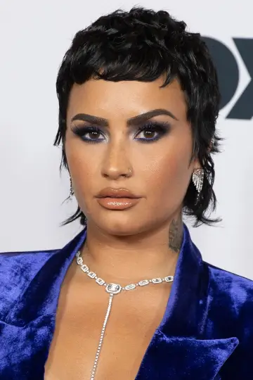 Zdjęcie Demi Lovato #38907