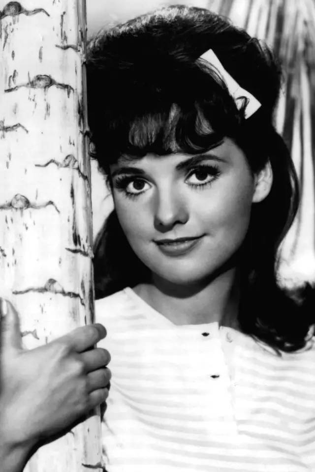 Zdjęcie  (Dawn Wells)