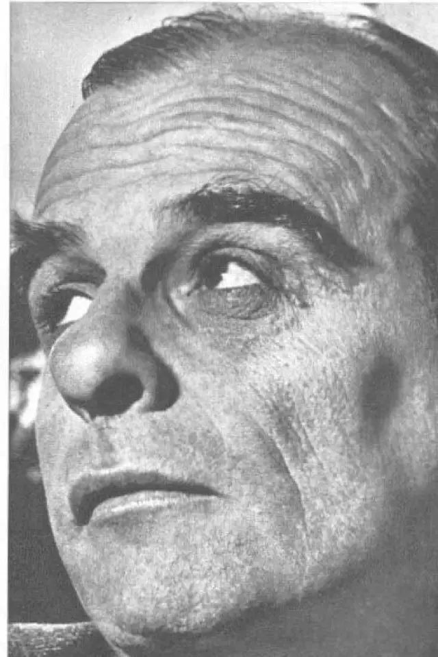 Zdjęcie  (Patricio Kaulen)