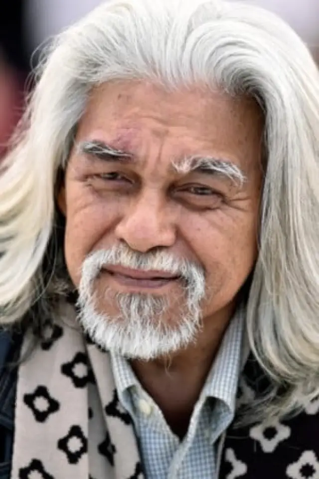 Zdjęcie Wan Hanafi Su