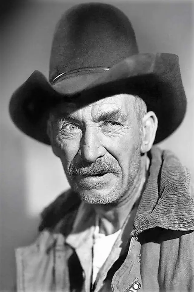 Zdjęcie  (Andy Clyde)