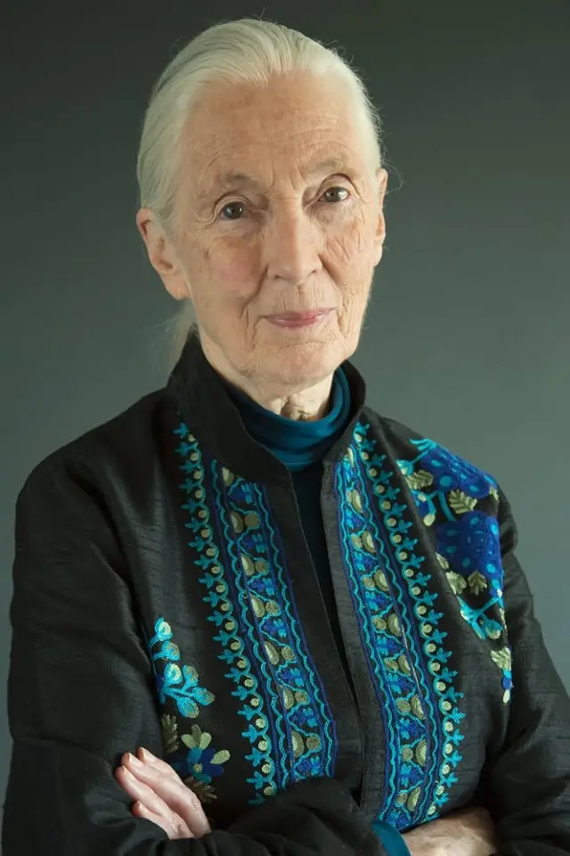 Zdjęcie  (Jane Goodall)