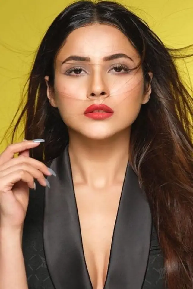 Zdjęcie  (Shehnaaz Gill)
