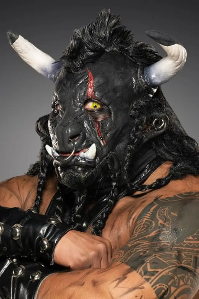 Zdjęcie Black Taurus (Black Taurus)