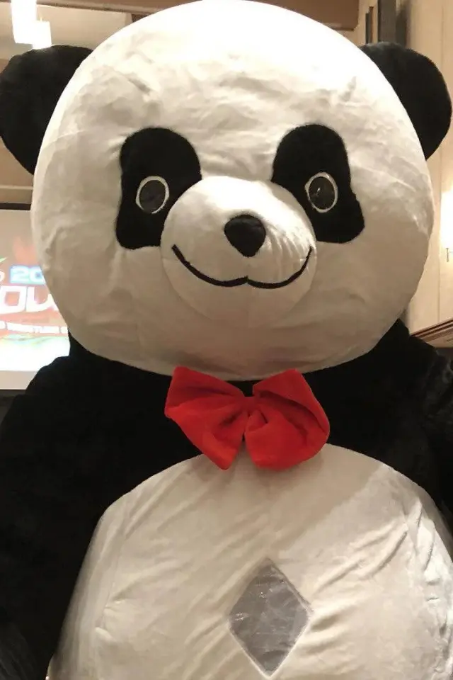 Zdjęcie  (Andreza Giant Panda)
