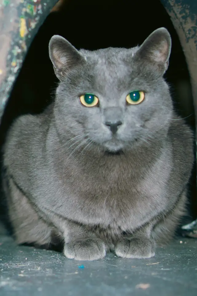 Zdjęcie  (Slavko)