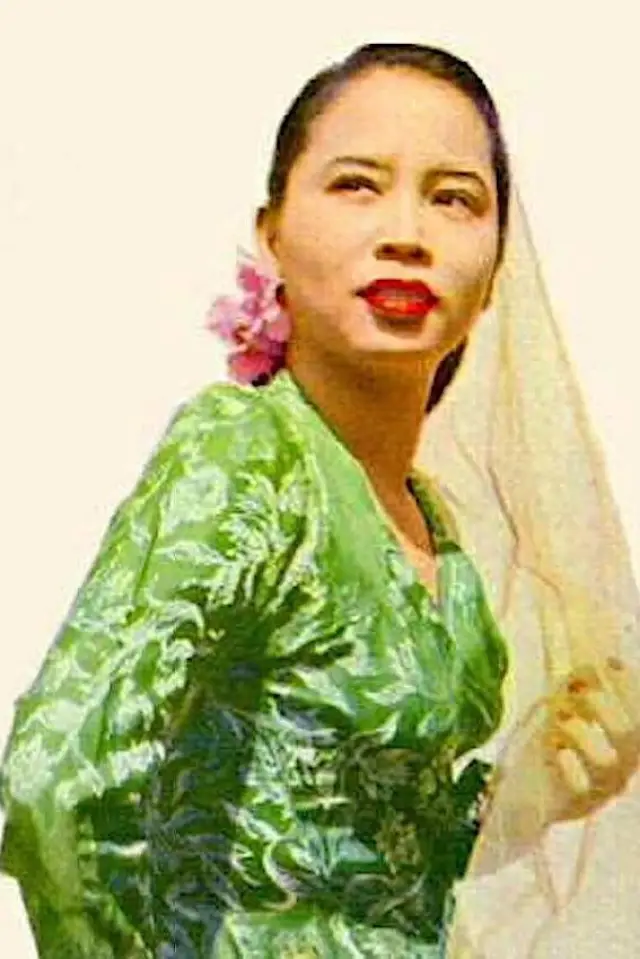Zdjęcie  (Siput Sarawak)