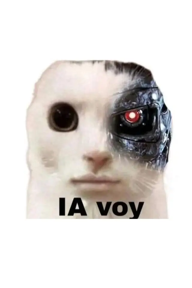 Zdjęcie Chat GPT (Chat GPT)