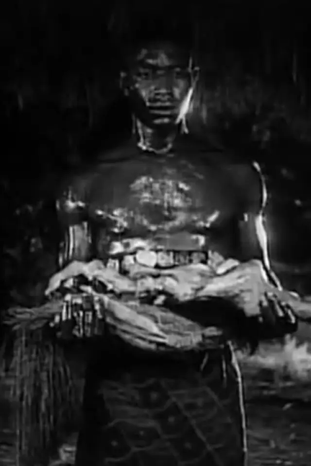 Zdjęcie  (Curtis Nero)