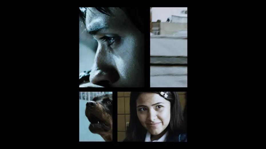 Wideo do filmu Amores perros — AMORES PERROS is a timeless mosaic of Mexico City in the year 2000. [Subtitled]