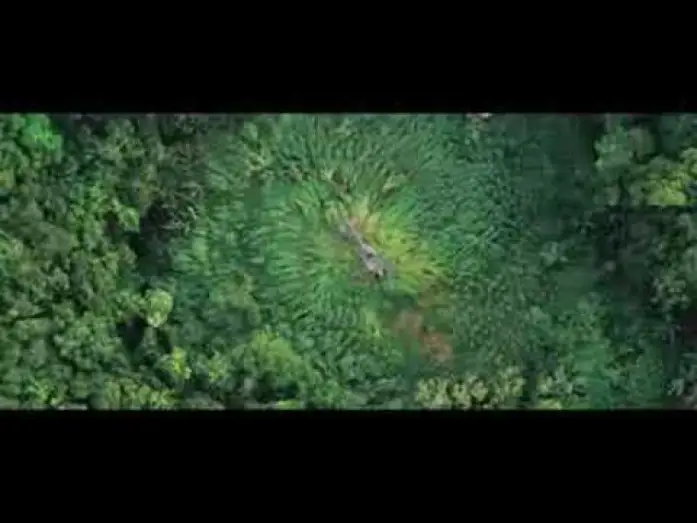 Wideo do filmu Jaja w tropikach — Tonnerre Sous Les Tropiques - ba 2 VOST