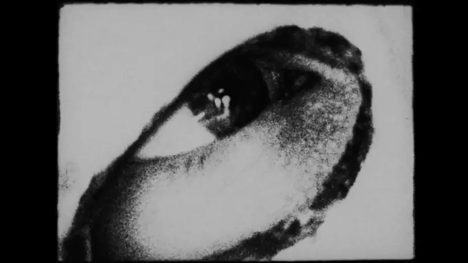 Wideo do filmu Begotten — Begotten – Official 4K Restoration Trailer