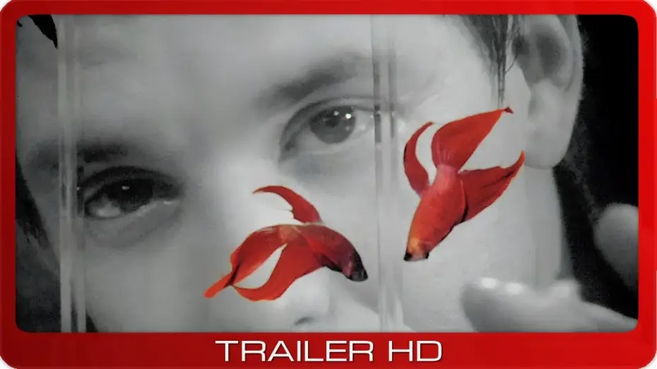 Wideo do filmu Rumble Fish — Rumble Fish ≣ 1983 ≣ Trailer ≣ Remastered ≣ German | Deutsch