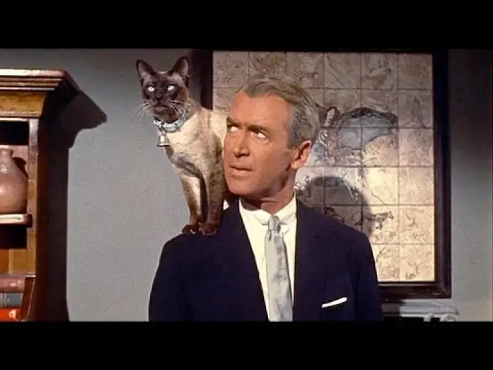 Wideo do filmu Czarna magia na Manhattanie — Sam Hamm on BELL, BOOK, AND CANDLE