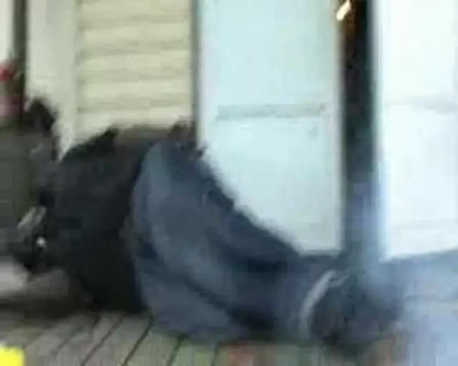 Wideo do filmu Ratunku! Awaria — BoYZ In THe HooD (sweded)