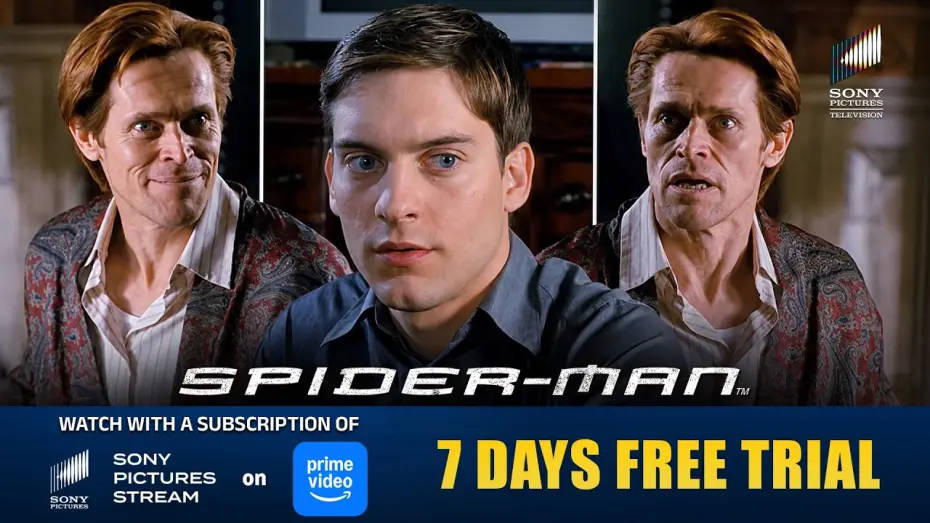 Wideo do filmu Spider-Man — Somebody Has to Stop it!