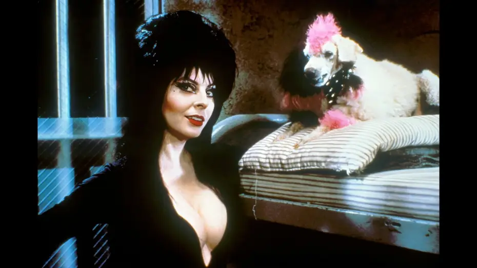 Wideo do filmu Elvira, władczyni ciemności — Trailer - ELVIRA, HERRSCHERIN DER DUNKELHEIT (1988, Cassandra Peterson)