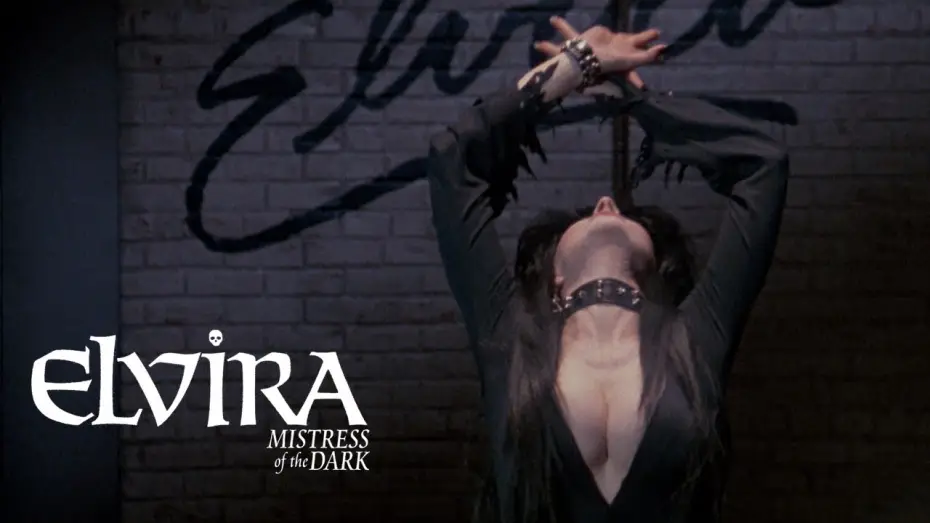 Wideo do filmu Elvira, władczyni ciemności — Grand finale