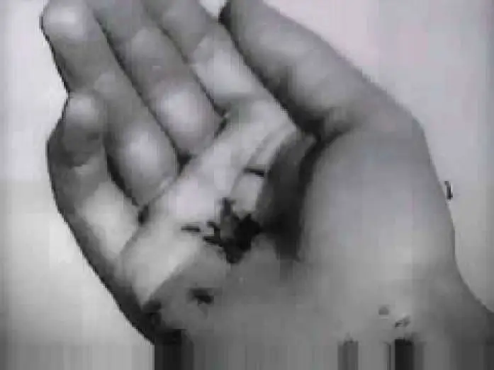 Wideo do filmu Pies andaluzyjski — Un Chien Andalou - Trailer