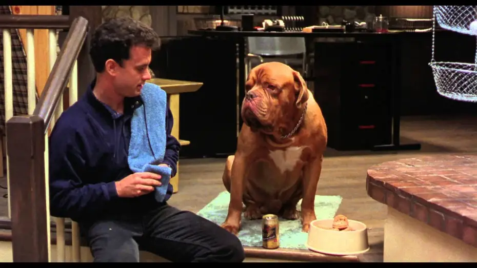 Wideo do filmu Turner i Hooch — Turner & Hooch (Bande annonce Vf)