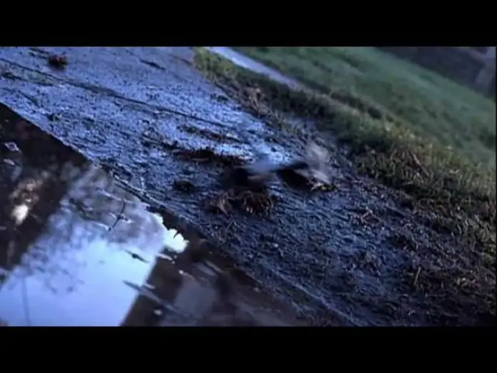 Wideo do filmu Nieuchwytny — Nella rete del Serial Killer trailer ita