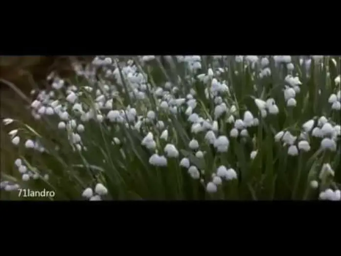 Wideo do filmu Powrót do Howards End — Regreso a Howards End: Fragmento de la muerte y las flores