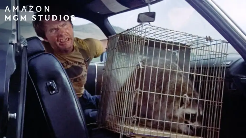 Wideo do filmu Piorun i Lekka Stopa — Hitchhiking With A Raccoon