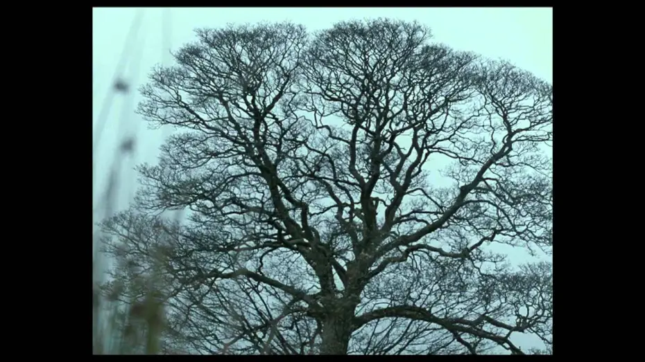 Wideo do filmu Wichrowe wzgórza — Official US Theatrical Trailer
