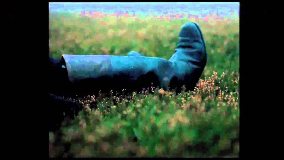 Wideo do filmu Wichrowe wzgórza — Clip "Mate"