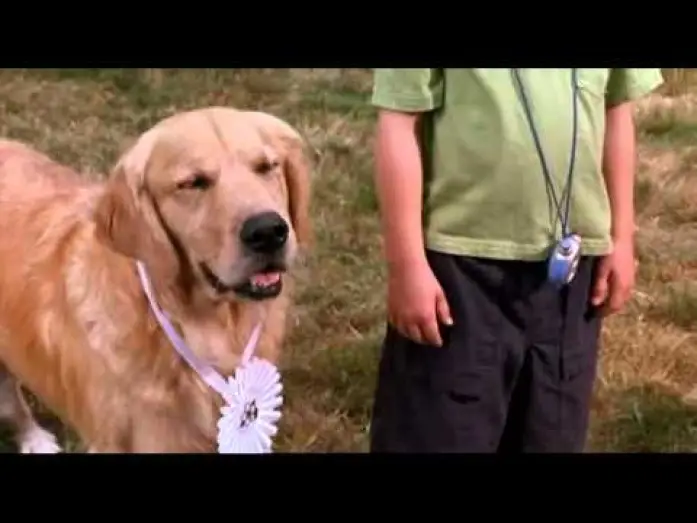 Wideo do filmu Drużyna Buddiego — Air Bud - bande annonce