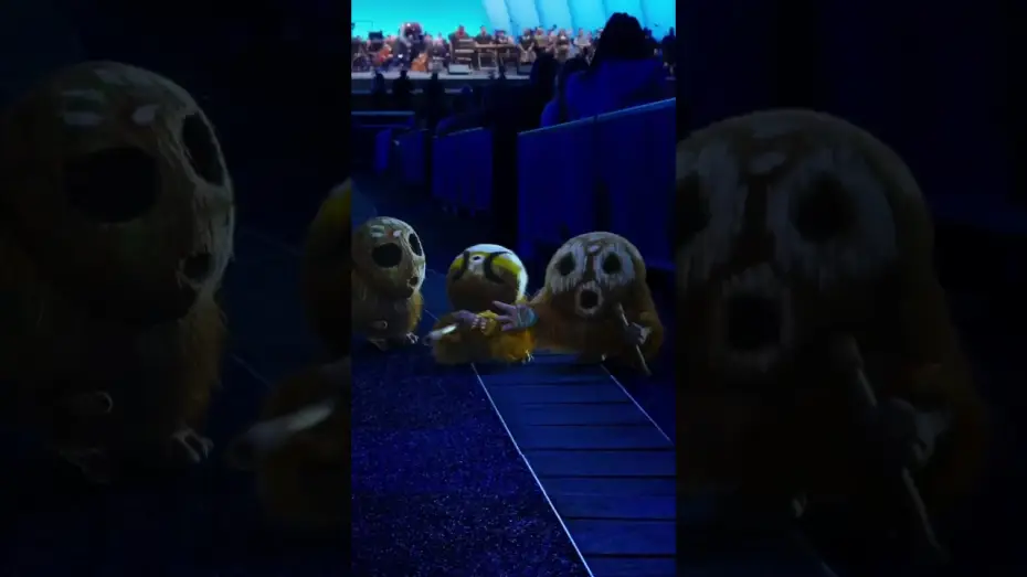 Wideo do filmu Moana — there’s always someone