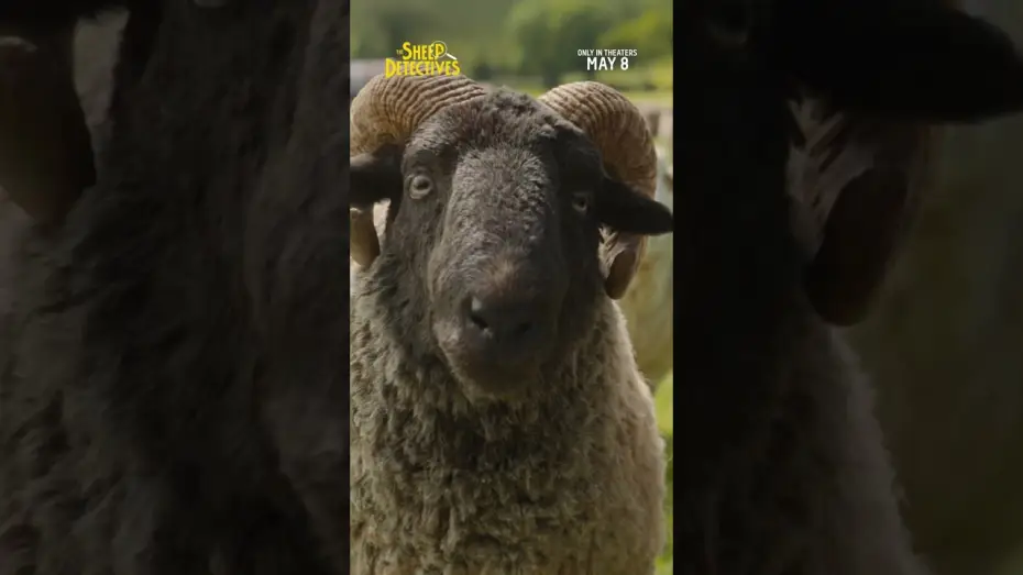Wideo do filmu Sprawiedliwość owiec — Skills TV Spot