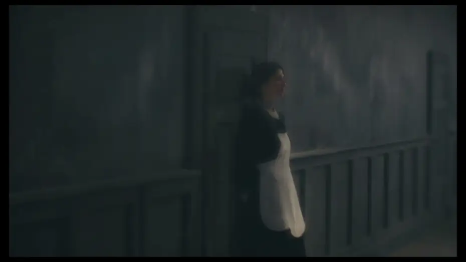 Wideo do filmu Sanatorium pod Klepsydrą według braci Quay — Sanatorium Under the Sign of the Hourglass (Trailer)