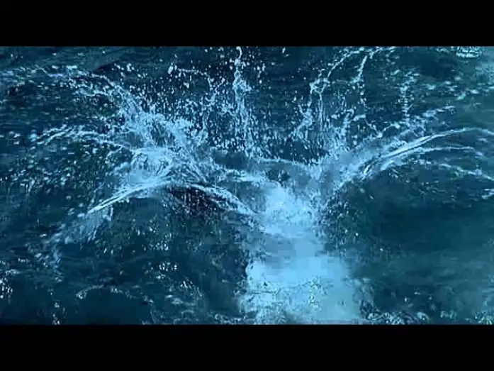 Wideo do filmu Deep Blue — Deep-Blue - Trailer (Deutsch)
