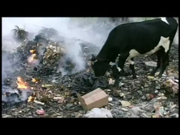 Wideo do filmu The Corporation — THE CORPORATION trailer