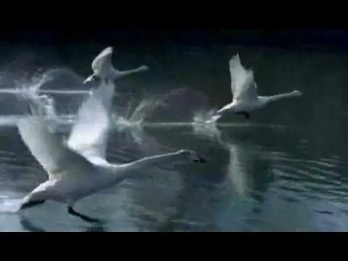 Wideo do filmu Makrokosmos — Winged Migration (Le Peuple migrateur) - Trailer