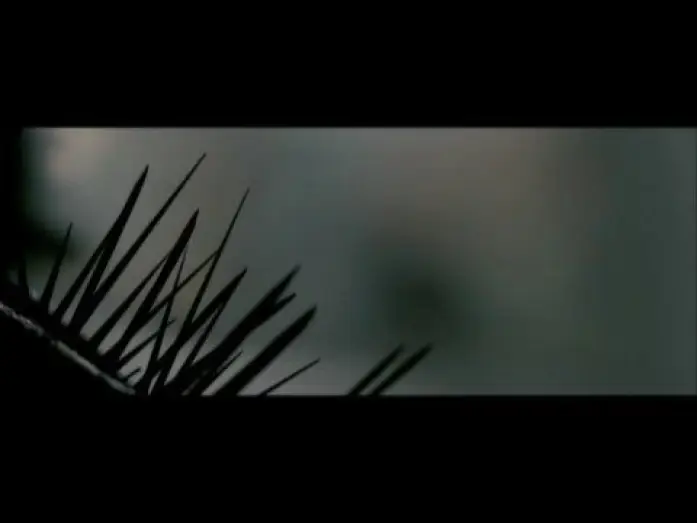 Wideo do filmu Cierń — Splinter Trailer